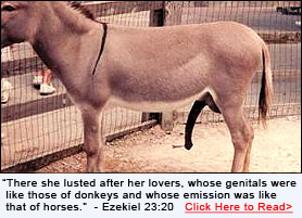 Xnxx Com Donkey - she needs a huge donkey cock - 'donkey dick monster' Search ...